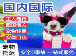 朔州滋润空运地址国际宠物托运 【国